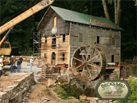 restorationiiiiiiiiii21111